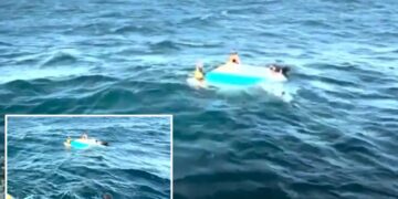 Woman, 51, and boy, 17, rescued after three-hour paddleboarding ordeal off Melbourne