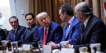 MAGA insider slams Trump Cabinet meetings: ‘Just nothing but praise and how great he is’