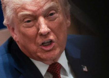 ‘Ridiculous!’ Trump flies into a rage after ‘best lawyer’ Alina Habba resigns