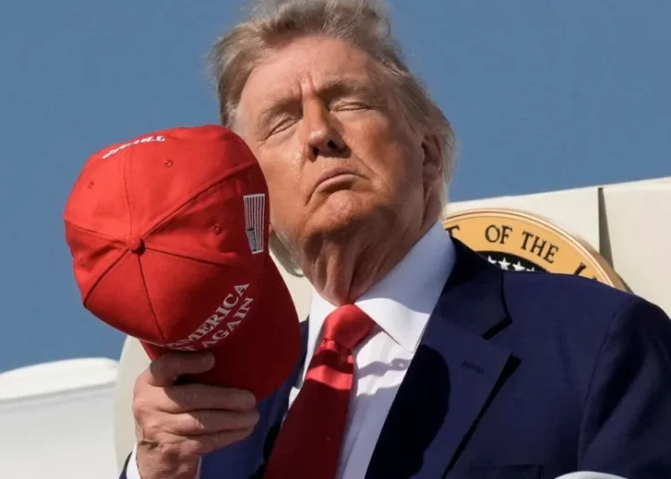 ‘Pathetic empty vessel’: Trump raked over coals over wild new Epstein meltdown