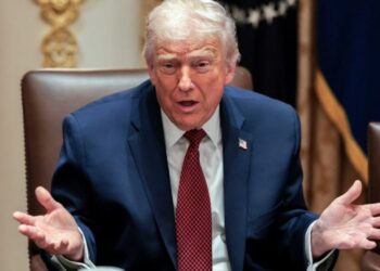 ‘Should be ashamed’: Trump berates Republicans as MAGA ally quits