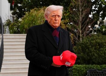 MAGA hammers Trump for ‘humiliating’ assault on states’ rights