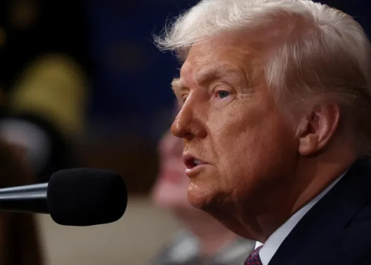 ‘The bell of stupidity’: Conservative’s Christmas video lampoons Trump’s latest speech