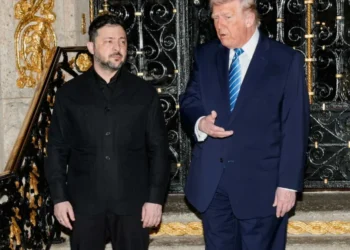 ‘It’s insane’: Expert makes stunning claim about Trump’s chat with Zelenskyy