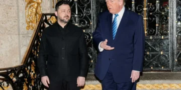 ‘It’s insane’: Expert makes stunning claim about Trump’s chat with Zelenskyy