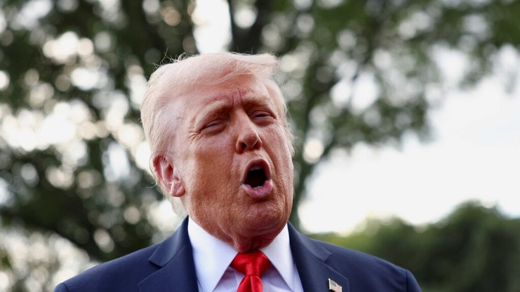 Trump drops panicked attack on GOP lawmakers standing in way of his new power grab