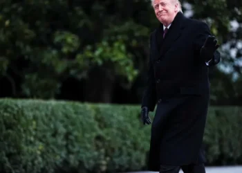 ‘What is Newt smokin’?’ One of GOP’s ‘deepest thinkers’ roasted for hyping Trump’s speech