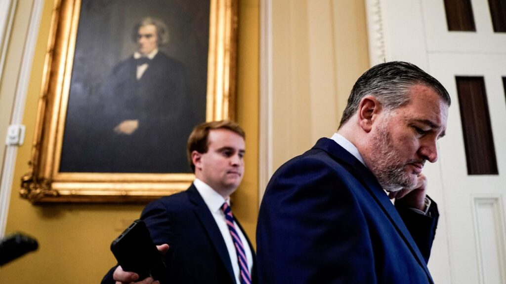 Power struggle erupts as establishment GOP struggles to ‘expel the lunatics’: analysis