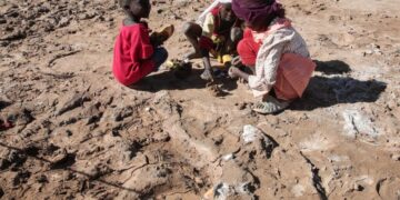 Sudanese paramilitary drone attack on kindergarten kills 50, including 33 children, officials say