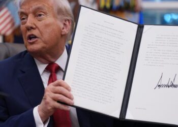 Supreme Court will hear Trump’s plan to restrict birthright citizenship