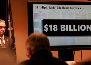 About half of Medicaid’s $18 billion in claims paid to Minnesota programs may be fraudulent, official says