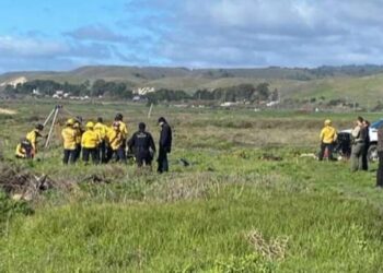 Swimmer believed to be victim of shark is found dead, a shark-deterrent band around her ankle