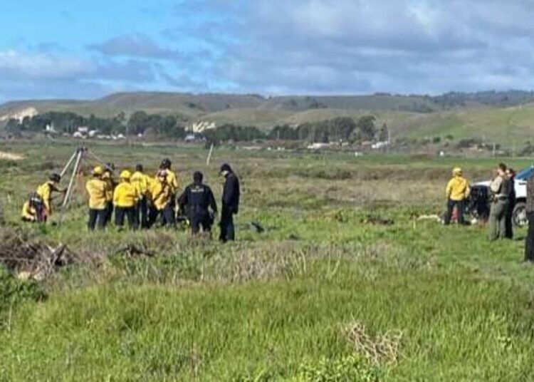 Swimmer believed to be victim of shark is found dead, a shark-deterrent band around her ankle