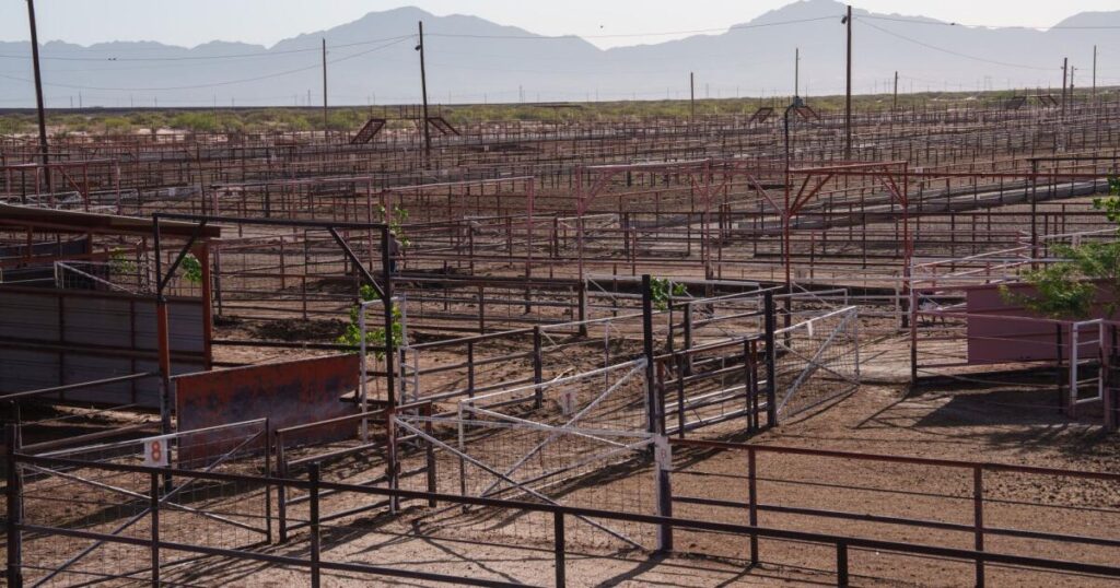 Cattle ban at the border sparks beef shortages and plant closures