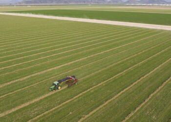 Where a Saudi company pumps desert groundwater, Arizona considers imposing limits