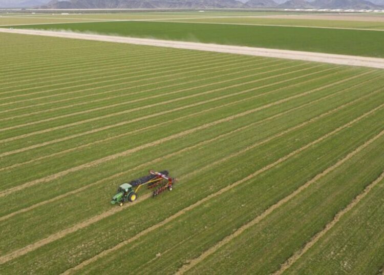 Where a Saudi company pumps desert groundwater, Arizona considers imposing limits