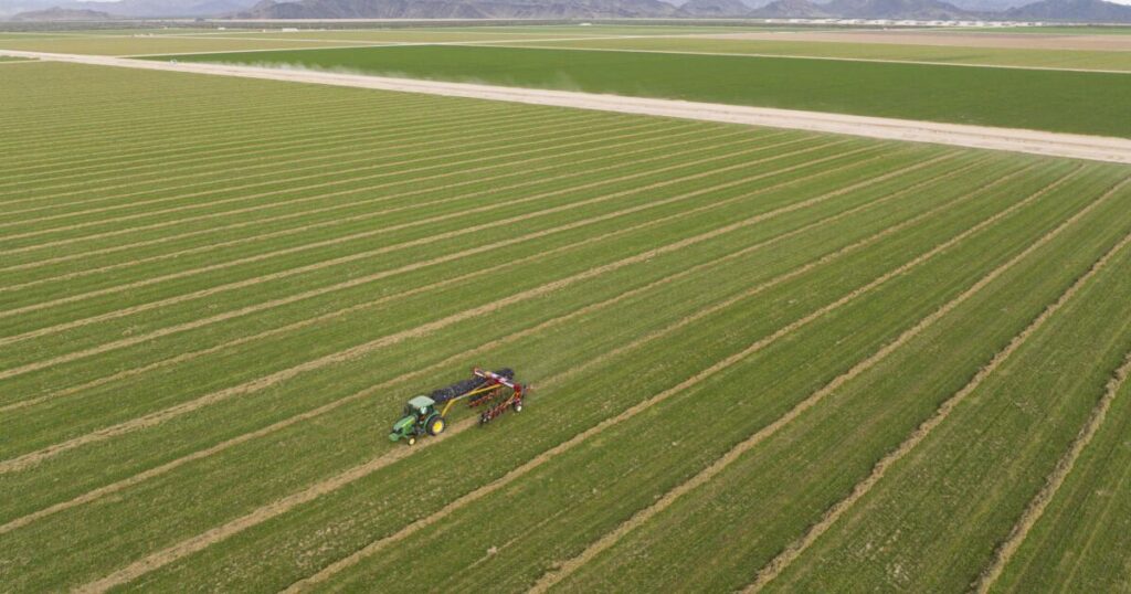 Where a Saudi company pumps desert groundwater, Arizona considers imposing limits