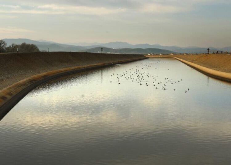Trump’s plan to pump more water in California is ill-conceived and harmful, lawmakers say