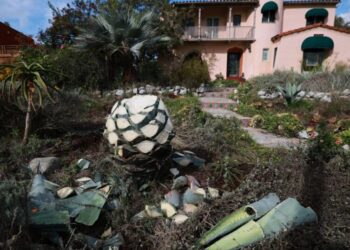 SoCal agave owners have been hacked. What are thieves doing with those filched leaves?