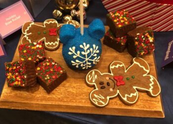 Would you wait 11 hours for a gingerbread cookie? At Disneyland you just might have to