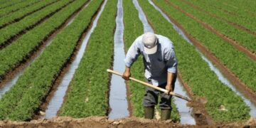 California braces for drought from the fifth La Niña in six years