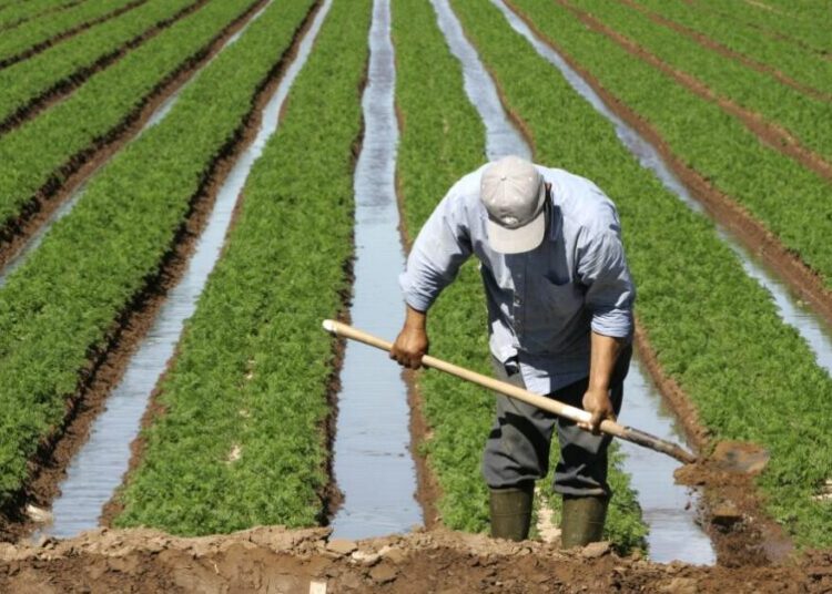 California braces for drought from the fifth La Niña in six years