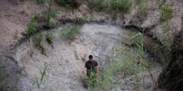 Hungary’s ‘water guardian’ farmers fight back against desertification