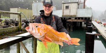 A California fisherman may have broken records by catching a 10.25-pound canary rockfish