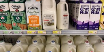 Butter, milk and cheese prices slide as ‘stunning’ global production floods markets