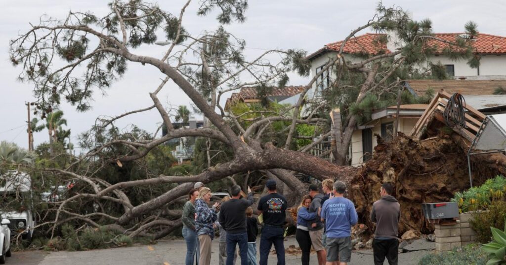 San Diego man killed by falling tree in third storm-related death
