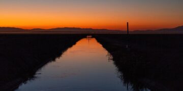 A wealthy California farmer, a contentious divorce and a fatal shooting