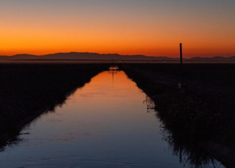 A wealthy California farmer, a contentious divorce and a fatal shooting