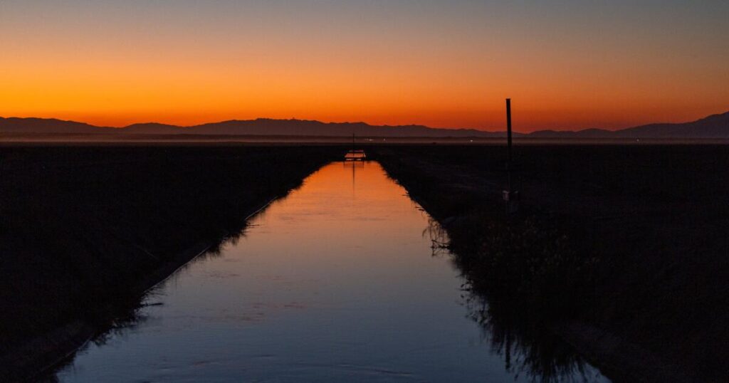 A wealthy California farmer, a contentious divorce and a fatal shooting