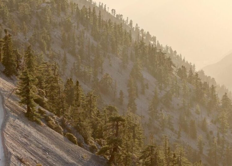 Three hikers found dead on Mt. Baldy. Harsh weather blocks recovery of bodies