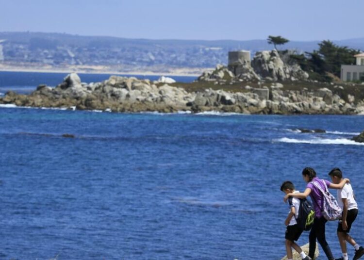 Shark attack feared after swimmer goes missing off Monterey Bay coast