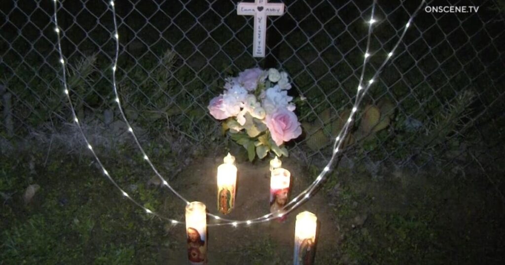 2 young girls killed in Murrieta house fire; parents hospitalized, heartbroken, friend says