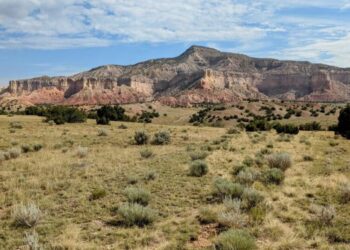 Georgia O’Keeffe’s views of the New Mexico desert will be preserved with conservation plan