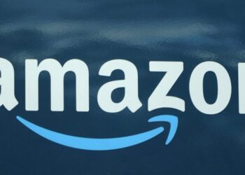 After alleged SoCal catnapping by Amazon driver, pet’s still missing and driver is out of a job