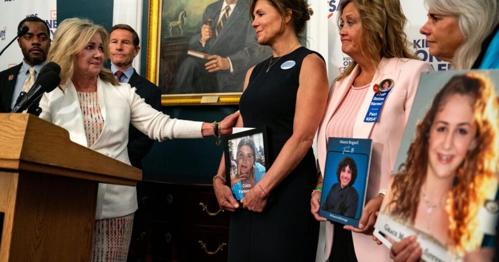 Online child safety advocates urge California lawmakers to increase protections