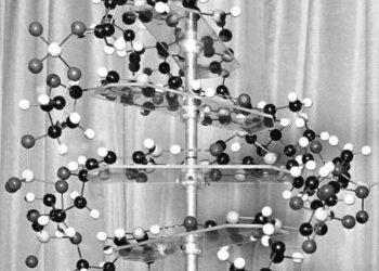 In search for autism’s causes, look at genes, not vaccines, researchers say