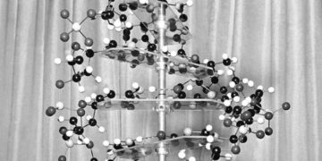 In search for autism’s causes, look at genes, not vaccines, researchers say