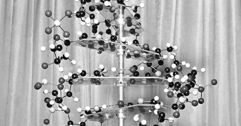 In search for autism’s causes, look at genes, not vaccines, researchers say