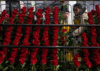 Gen Z and millennials embrace sustainable alternatives to imported flowers