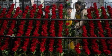 Gen Z and millennials embrace sustainable alternatives to imported flowers