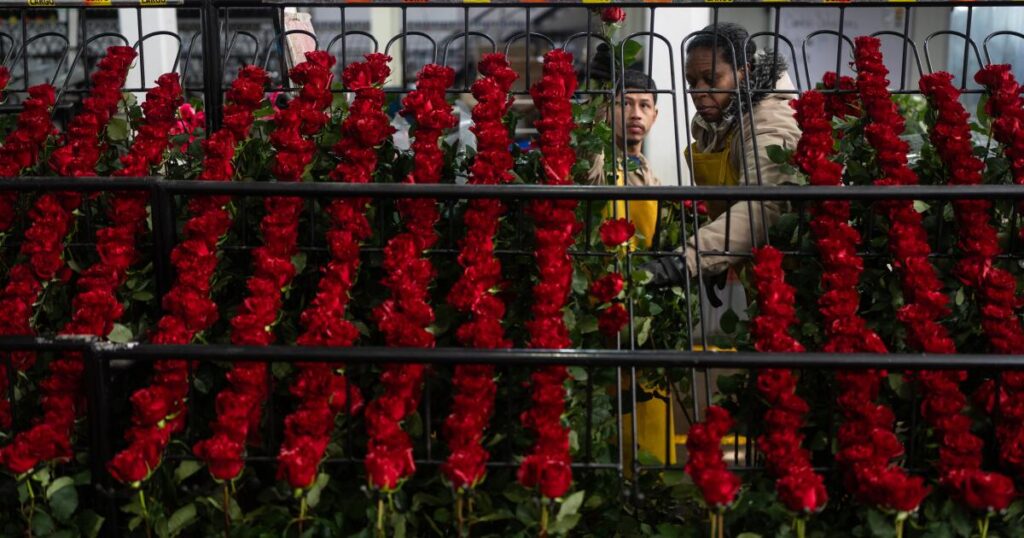 Gen Z and millennials embrace sustainable alternatives to imported flowers