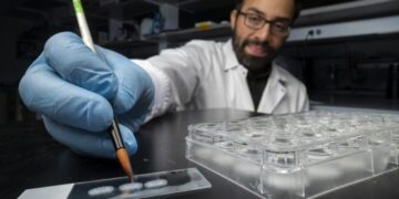 ‘Memory manipulation is inevitable’: How rewriting memory in the lab might one day heal humans