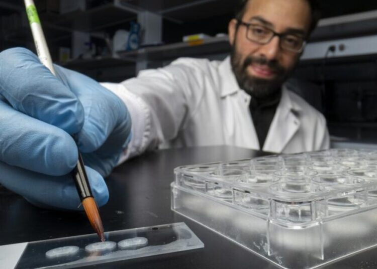 ‘Memory manipulation is inevitable’: How rewriting memory in the lab might one day heal humans