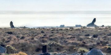 U.S. Air Force Thunderbirds jet crashes near Death Valley, pilot survives