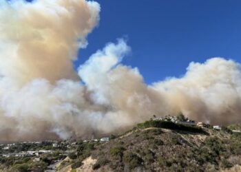 LAFD leaders tried to cover up Palisades fire mistakes. The truth still emerged