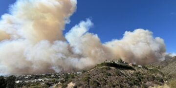 LAFD leaders tried to cover up Palisades fire mistakes. The truth still emerged